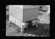 Photo:Bethlehem Palestine Esan Safieh 1939 Bee Hives Poultry Farm picture