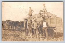 RPPC Postcard Sugar Beet Farming With Japanese Labor Workers c. 1910 Horse Wagon picture