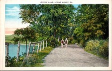 Lovers Lane Spring Mount PA Vintage Postcard 5P19-9 picture